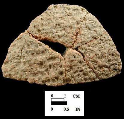 Popes Creek net-impressed body sherd, exterior surface, from the Dorr site 18AN19/46.